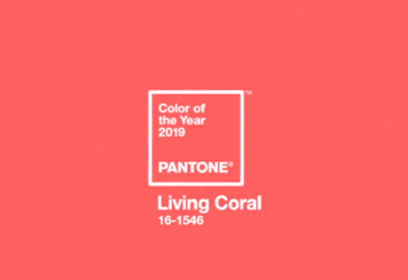 Living Coral è il colore Pantone 2019