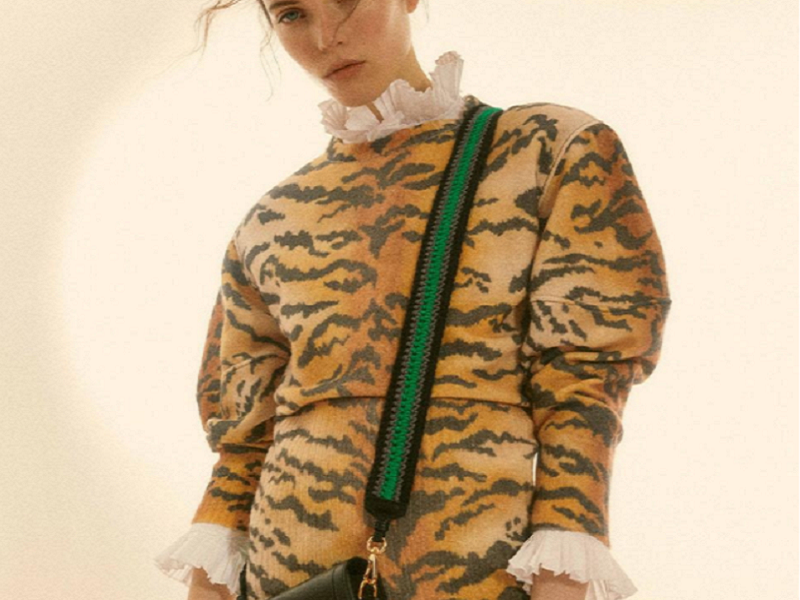 La moda si ispira alla Tigre