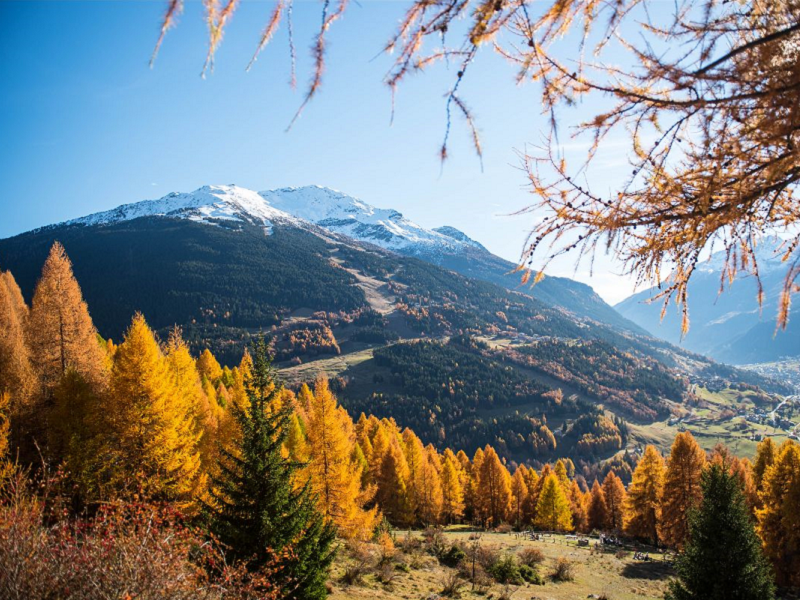 AUTUNNO BORMIO