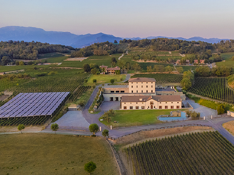 Tenuta Muratori vigneti Franciacorta