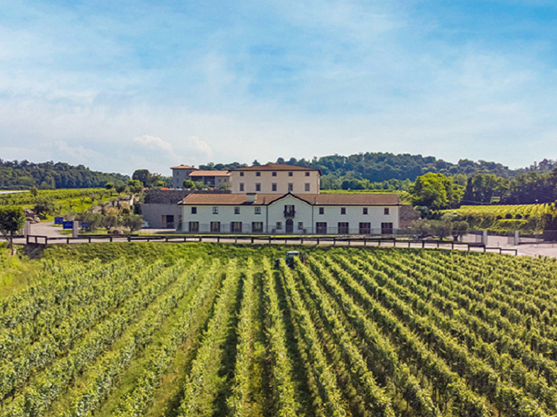 Tenuta Muratori vigneti Franciacorta