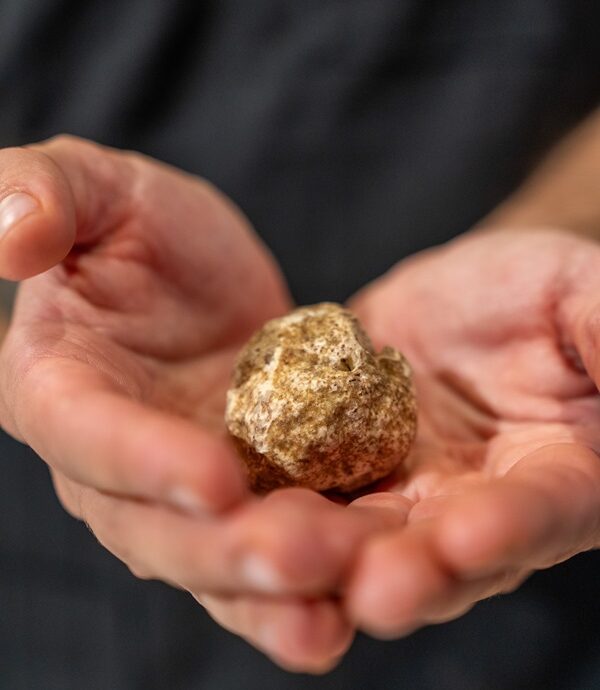 Fiera Tartufo Bianco d'Alba - Credits Lavezzo Studio
