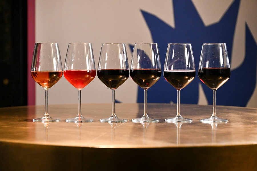 vari tipi di lambrusco