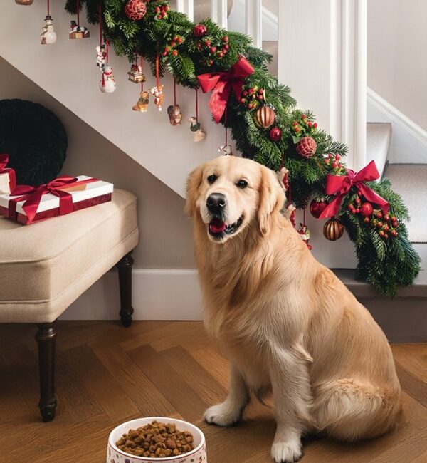 La Guida Definitiva al Regalo Perfetto per il Natale 2025